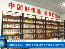 【渭南工业】陕西陕富面业：强化创新发展 在全链产业上实现新突破