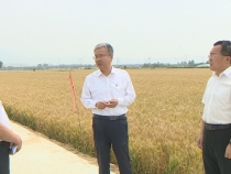 陈晓勇在华州区 临渭区调研时强调 扎实推进高标准农田建设管理 努力营造风清气正的发展环境
