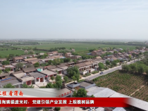 【千萬工程 看渭南】蒲城縣荊姚鎮(zhèn)渡米村：黨建引領(lǐng)產(chǎn)業(yè)發(fā)展 上規(guī)模樹品牌