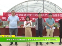 蒲城縣商貿流通企業赴龍陽鎮西甜瓜產業基地直采促銷