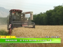 戰“三夏”（三）韓城市西莊鎮：“搶”字當頭 強化保障 全力以赴戰“三夏”