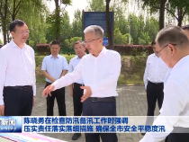 陈晓勇在检查防汛备汛工作时强调压实责任落实落细措施 确保全市安全平稳度汛