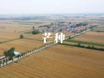 【健康渭南】芒种：忙而不茫 不负时光