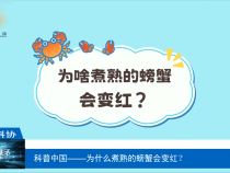 【渭南科普】科普中国——为什么煮熟的螃蟹会变红？