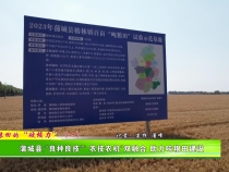 吨粮田的“硬核力”（一）蒲城县：“良种良技”“ 农技农机”双融合 助力吨粮田建设