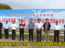 增殖放流護生態 20萬尾魚苗暢游渭河