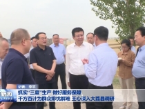 抓实“三夏”生产 做好服务保障 千方百计为群众排忧解难 王心深入大荔县调研