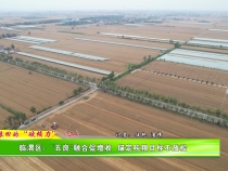 噸糧田的“硬核力”（二）臨渭區：“五良”融合促增收 錨定噸糧目標不放松