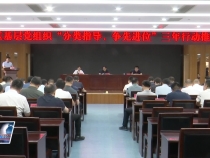 临渭区召开基层党组织“分类指导 争先进位”三年行动推进会