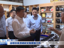 徐明非来渭调研文物普查工作