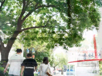 【健康渭南】患者不动专家动 群众“近”享优质医疗服务