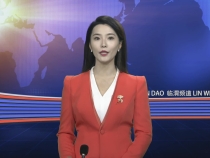 6月19日临渭新闻