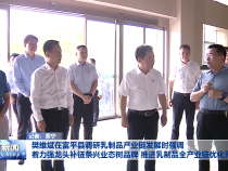 樊维斌在富平县调研乳制品产业链发展时强调 着力强龙头补链条兴业态树品牌 推进乳制品全产业链优化升级