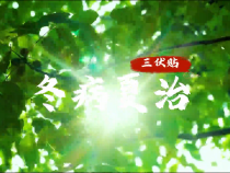 【健康渭南】 冬病夏治 “三伏贴”