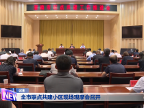 全市联点共建小区现场观摩会召开