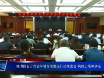 臨渭區召開市容環境專項整治行動推進會 菊峰出席并講話