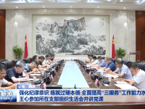 强化纪律意识 练就过硬本领 全面提高“三服务”工作能力水平 王心参加所在支部组织生活会并讲党课