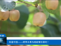 【渭南科普】科普中国——跨季水果为啥能够任意吃？
