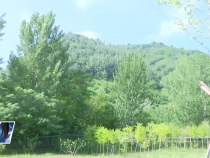 7月5日臨渭新聞