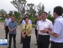 省政协来渭开展专题视察调研