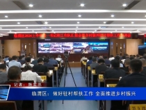 臨渭區(qū)：做好駐村幫扶工作 全面推進(jìn)鄉(xiāng)村振興