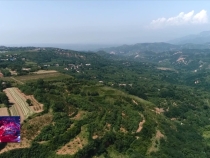 7月10日臨渭新聞