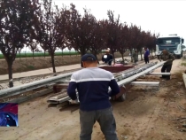 7月10日效能觀察