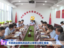 市委政法委机关召开上半年工作汇报会