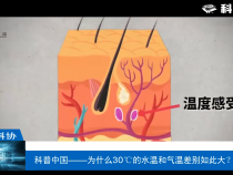 【渭南科普】科普中国——为什么30℃的水温和气温差别如此大？
