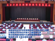 樊维斌在全市开放发展暨招商引资推进会上强调 以更高水平开放合作更大力度招商引资 推动高质量发展现代化建设取得新成效 陈晓勇主持 王琦王晓军出席
