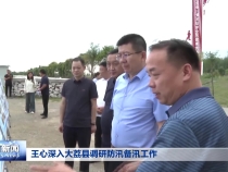 王心深入大荔县调研防汛备汛工作