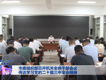 市委组织部召开机关全体干部会议 传达学习党的二十届三中全会精神