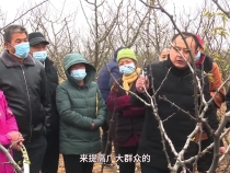 王纲：永远多一点
