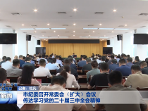 市纪委召开常委会（扩大）会议 传达学习党的二十届三中全会精神