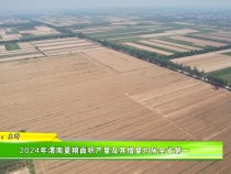 2024年渭南夏粮面积产量及其增量均居全省第一