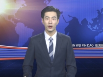 8月2日临渭新闻