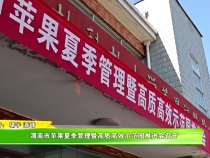 渭南市苹果夏季管理暨高质高效示范园推进会召开