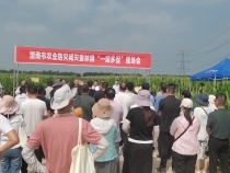 渭南：提高农业防灾减灾能力  秋粮“一喷多促”保丰收