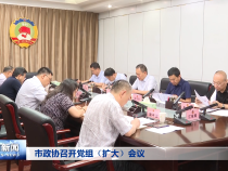 市政协召开党组（扩大）会议