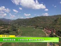 韩城市西庄镇：小田变大田 焕发土地“新活力”