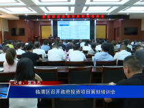 临渭区召开政府投资项目策划培训会