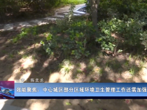 效能聚焦：中心城区部分区域环境卫生管理工作还需加强