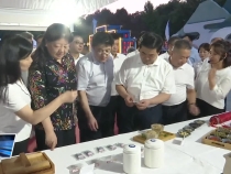 渭南市“中医药文化之夜”在中心广场启动