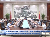 樊维斌在市委审计委员会会议上强调 全面提升审计监督整体效能 更好服务保障经济社会高质量发展 陈晓勇出席