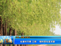 【健康渭南】处暑时节要“三防”   顺时养生是关键