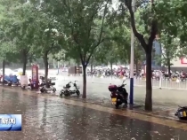 澄城 合阳遭遇风雹天气 当地第一时间开展生产自救