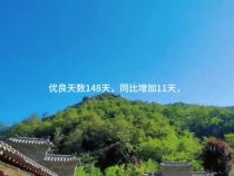 “渭南蓝”是这样呵护的