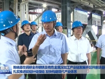 陈晓勇在调研全市钢铁及有色金属深加工产业链发展并召开座谈会时强调 扎实推进延链补链强链 加快构建现代产业体系