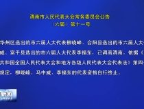 渭南市人民代表大会常务委员会公告〔六届〕第十一号