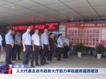 人大代表走进市政务大厅助力审批服务提质增效